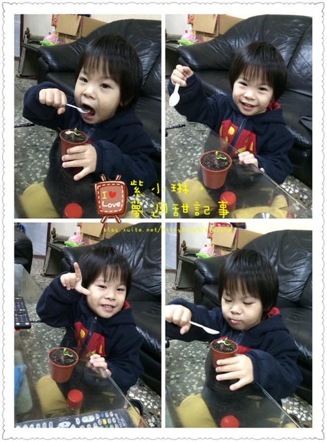 不乖，要你吃土!超療育的盆栽蛋糕。