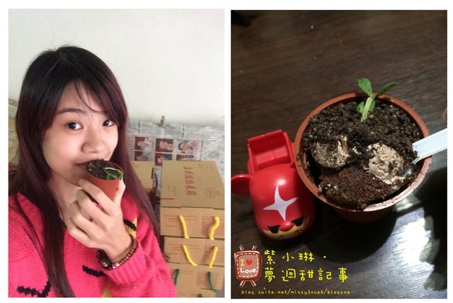 不乖，要你吃土!超療育的盆栽蛋糕。