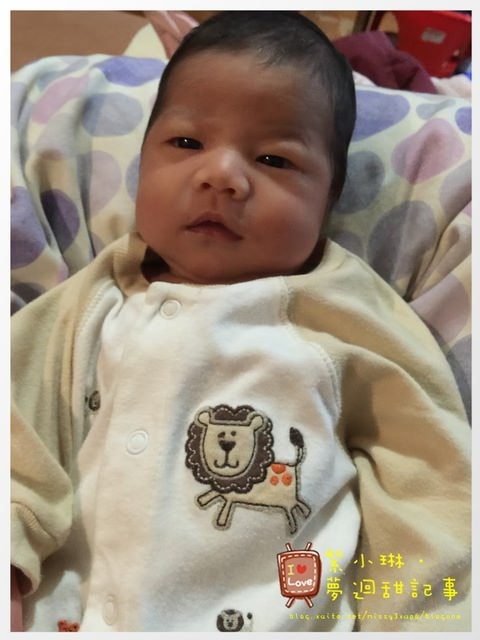 三寶之水果妹誕生&滿月囉~ - 第3張圖 三寶之水果妹誕生&滿月囉~