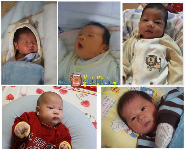 三寶之水果妹誕生&滿月囉~ - 第8張圖 三寶之水果妹誕生&滿月囉~