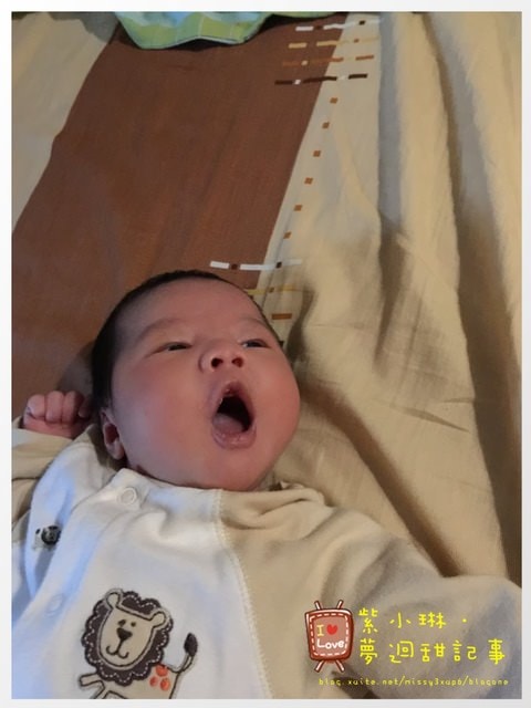 三寶之水果妹誕生&滿月囉~ - 第5張圖 三寶之水果妹誕生&滿月囉~