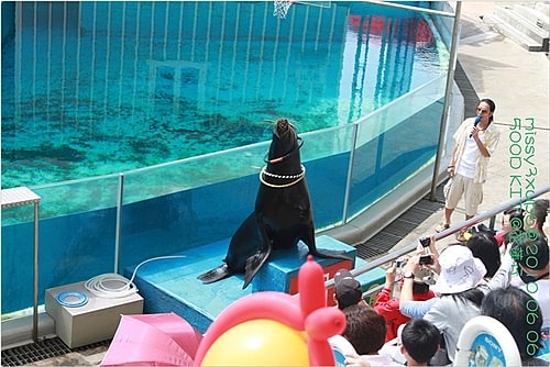 【遊記】花蓮行之遠雄海洋公園