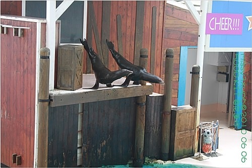 【遊記】花蓮行之遠雄海洋公園