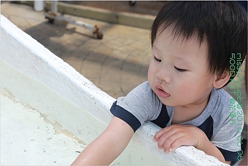 【遊記】花蓮行之遠雄海洋公園