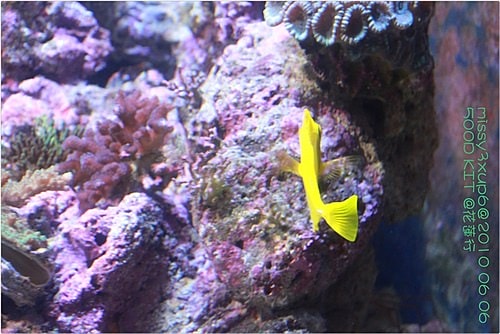 【遊記】花蓮行之遠雄海洋公園