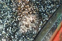 【遊記】花蓮行之遠雄海洋公園