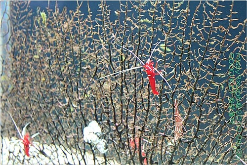 【遊記】花蓮行之遠雄海洋公園