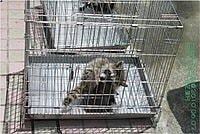 【遊記】花蓮行之新光兆豐農場