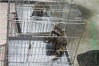 【遊記】花蓮行之新光兆豐農場