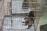 【遊記】花蓮行之新光兆豐農場