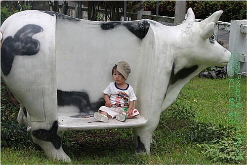 【遊記】花蓮行之新光兆豐農場