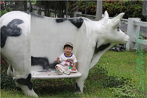 【遊記】花蓮行之新光兆豐農場