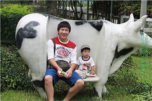 【遊記】花蓮行之新光兆豐農場