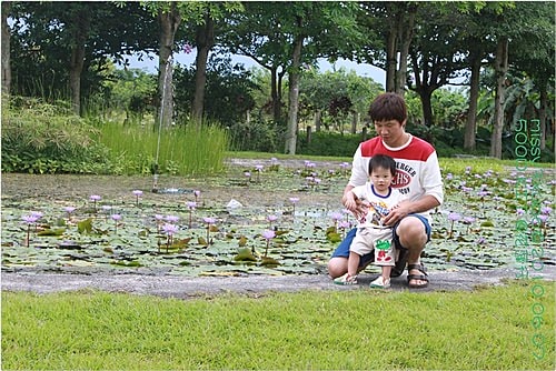 【遊記】花蓮行之新光兆豐農場