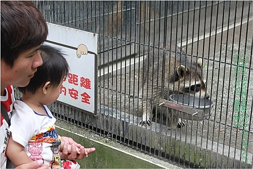 【遊記】花蓮行之新光兆豐農場