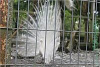 【遊記】花蓮行之新光兆豐農場