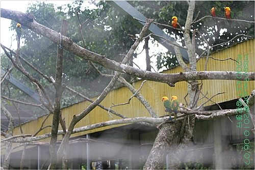 【遊記】花蓮行之新光兆豐農場