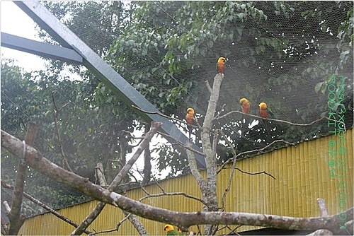 【遊記】花蓮行之新光兆豐農場