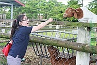 【遊記】花蓮行之新光兆豐農場