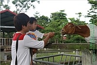 【遊記】花蓮行之新光兆豐農場