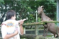 【遊記】花蓮行之新光兆豐農場