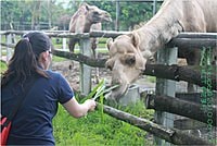 【遊記】花蓮行之新光兆豐農場