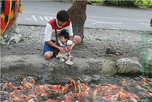 【遊記】花蓮行之新光兆豐農場