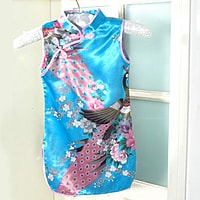 【放火】 超級美麗的女孩旗袍