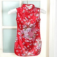 【放火】 超級美麗的女孩旗袍