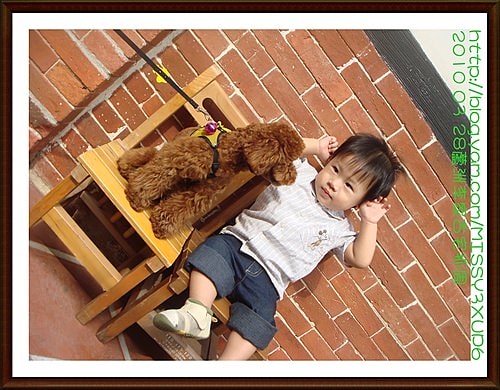 【桓兒】2010.03.27 蘆洲李家古宅，遲來的抓周行