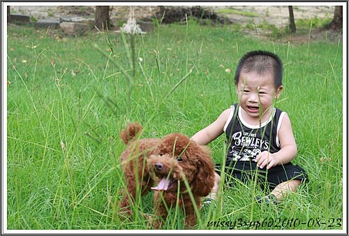 【挑選】關於這次二寶生產，暫時托嬰選擇計畫。