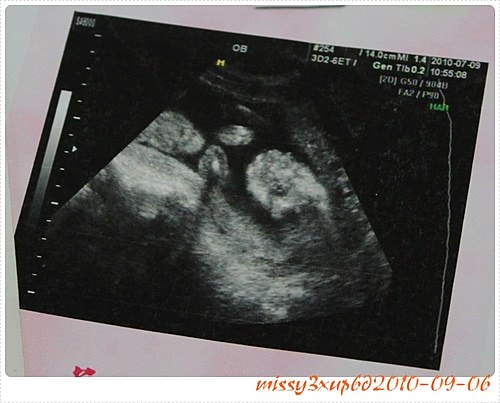 【二寶】註定要照高層次的命