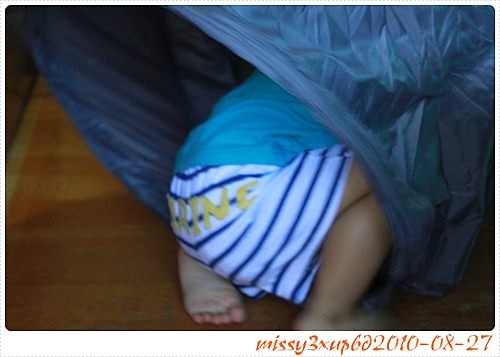 【敗家】藍印子便宜好多的大象球屋