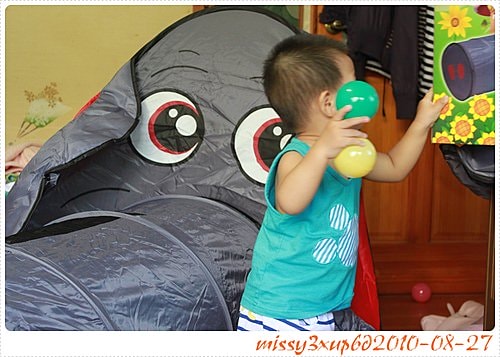 【敗家】藍印子便宜好多的大象球屋