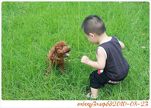 【桓兒】新竹孩兒的好去處–何家園 - 第16張圖 【桓兒】新竹孩兒的好去處–何家園