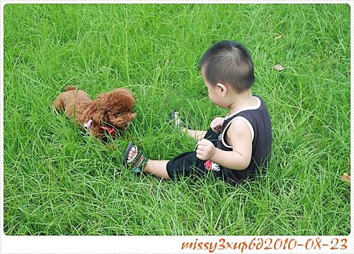 【桓兒】新竹孩兒的好去處–何家園 - 第17張圖 【桓兒】新竹孩兒的好去處–何家園