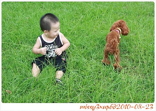 【桓兒】新竹孩兒的好去處–何家園 - 第2張圖 【桓兒】新竹孩兒的好去處–何家園