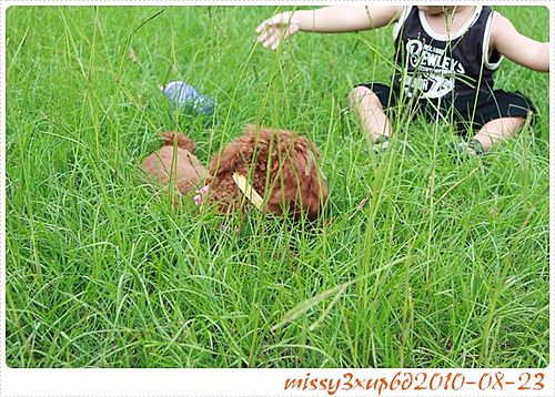 【桓兒】新竹孩兒的好去處–何家園 - 第4張圖 【桓兒】新竹孩兒的好去處–何家園