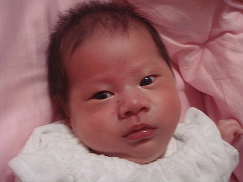 2M 果真是父子篇。