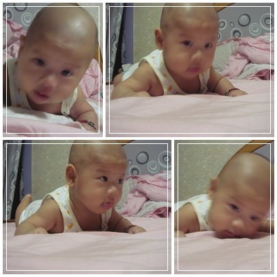 4m9d 踢踢熊之又趴又翻的桓 - 第5張圖 4m9d 踢踢熊之又趴又翻的桓