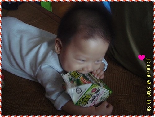 7m13d 桓桓開始爬爬前文