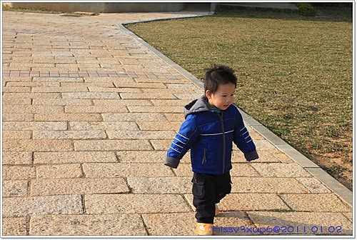 【桓兒】元旦假期之來去餵餵羊