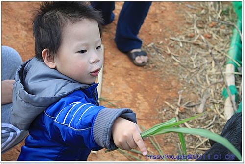 【桓兒】元旦假期之來去餵餵羊