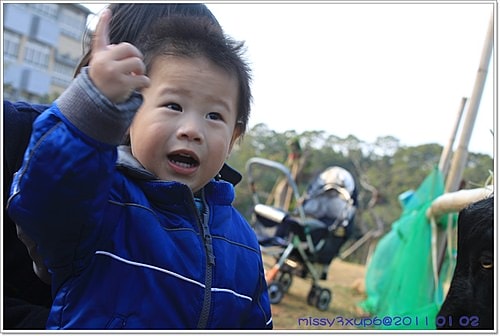 【桓兒】元旦假期之來去餵餵羊