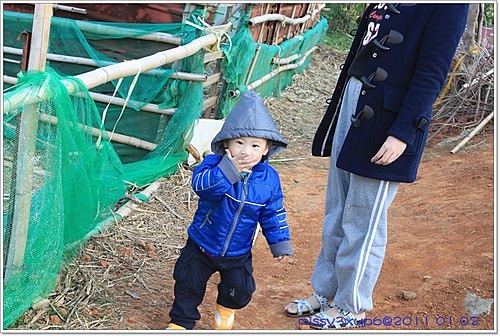 【桓兒】元旦假期之來去餵餵羊