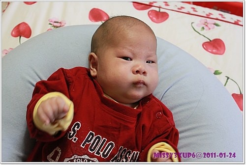 【敗家】法拉利成長型汽車座椅  FB00209 入手