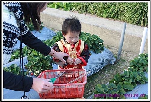 【遊記】農年初一內灣遊加採草莓去