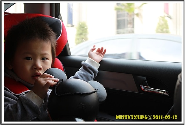 【敗家】法拉利成長型汽車座椅  FB00209 入手