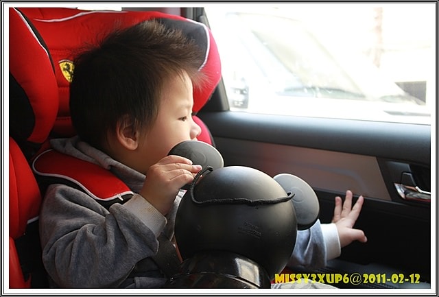 【敗家】法拉利成長型汽車座椅  FB00209 入手
