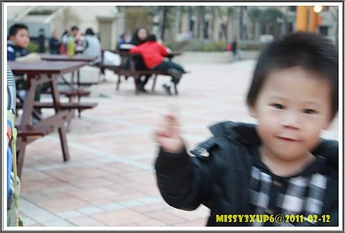 【遊記】農年走走，好美的義大世界